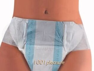 1001pleasure