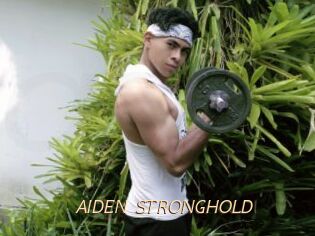 AIDEN_STRONGHOLD