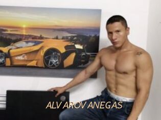 ALVAROVANEGAS