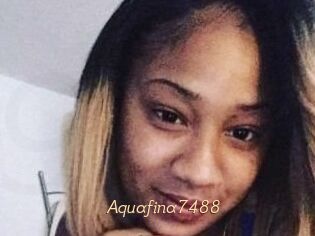 Aquafina7488