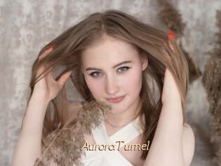 AuroraTurnel