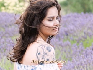 Aerinbaudelaire