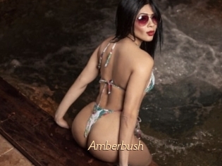 Amberbush