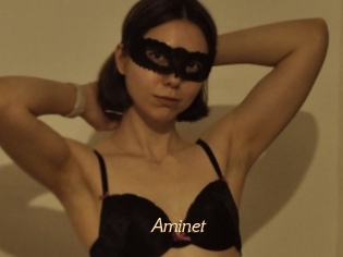 Aminet