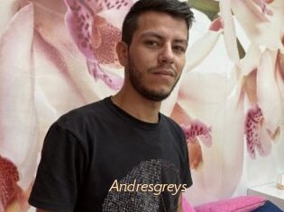 Andresgreys