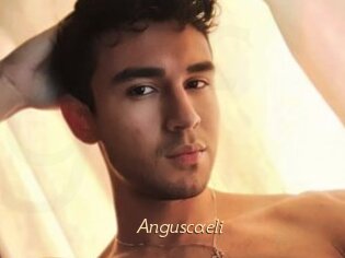 Anguscaeli