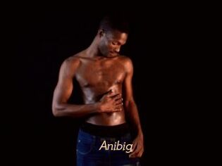 Anibig