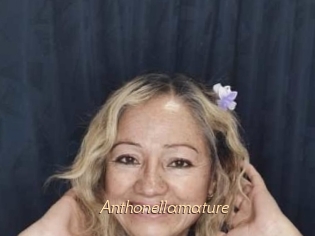 Anthonellamature