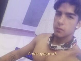 Anthonybigcock