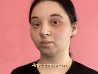 Antoniabradway