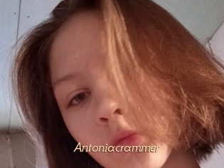 Antoniacrammer