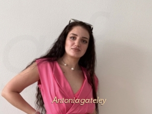 Antoniagateley