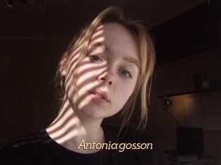 Antoniagosson