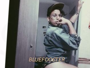 BLUEFOOSTER