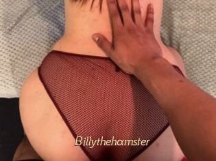Billythehamster