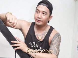 BrandonHarry