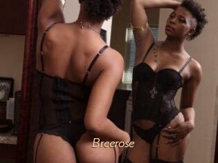 Breerose