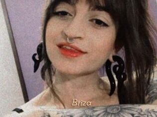 Briza