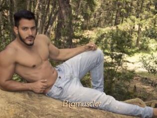Bigmusclet
