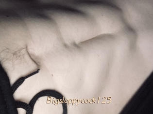 Bigsloppycock125