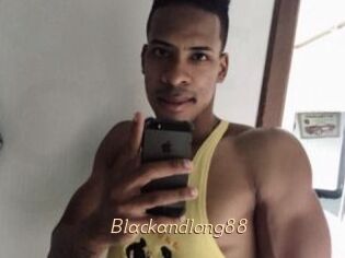 Blackandlong88