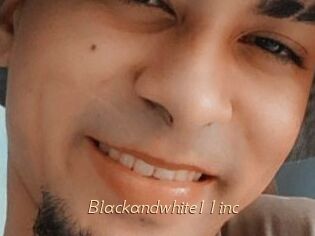 Blackandwhite11inc