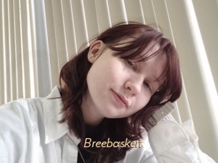 Breebaskett