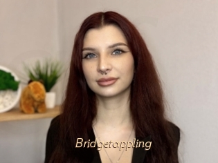 Bridgetappling