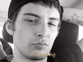 Budkushking