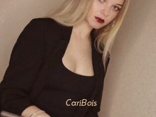 CariBois