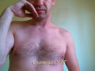 Ciumegul1977