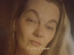 Curiousflower
