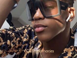 Callmekanaries