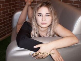 Candieflower