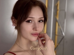 Carrybush