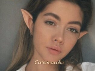 Caterinacollis