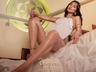 Celestesur