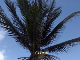 Chacul