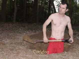 Codyfog
