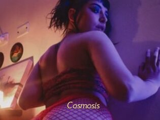Cosmosis
