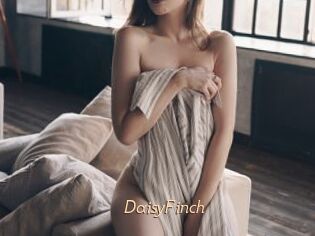 DaisyFinch