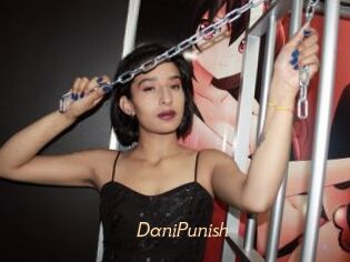 DaniPunish