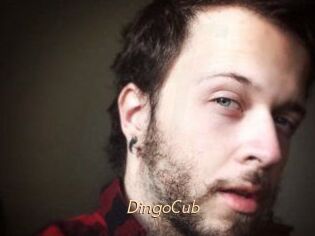 DingoCub