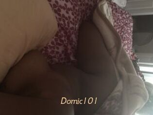 Domic101