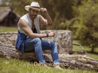 DomiinicSantos