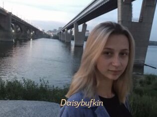 Daisybufkin
