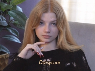 Daisycure