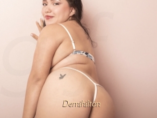 Demihilton