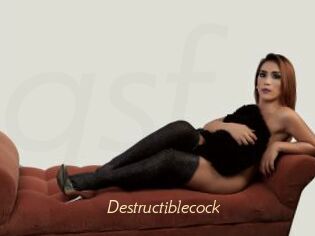 Destructiblecock