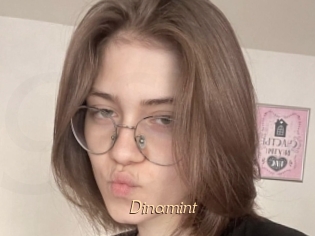 Dinamint
